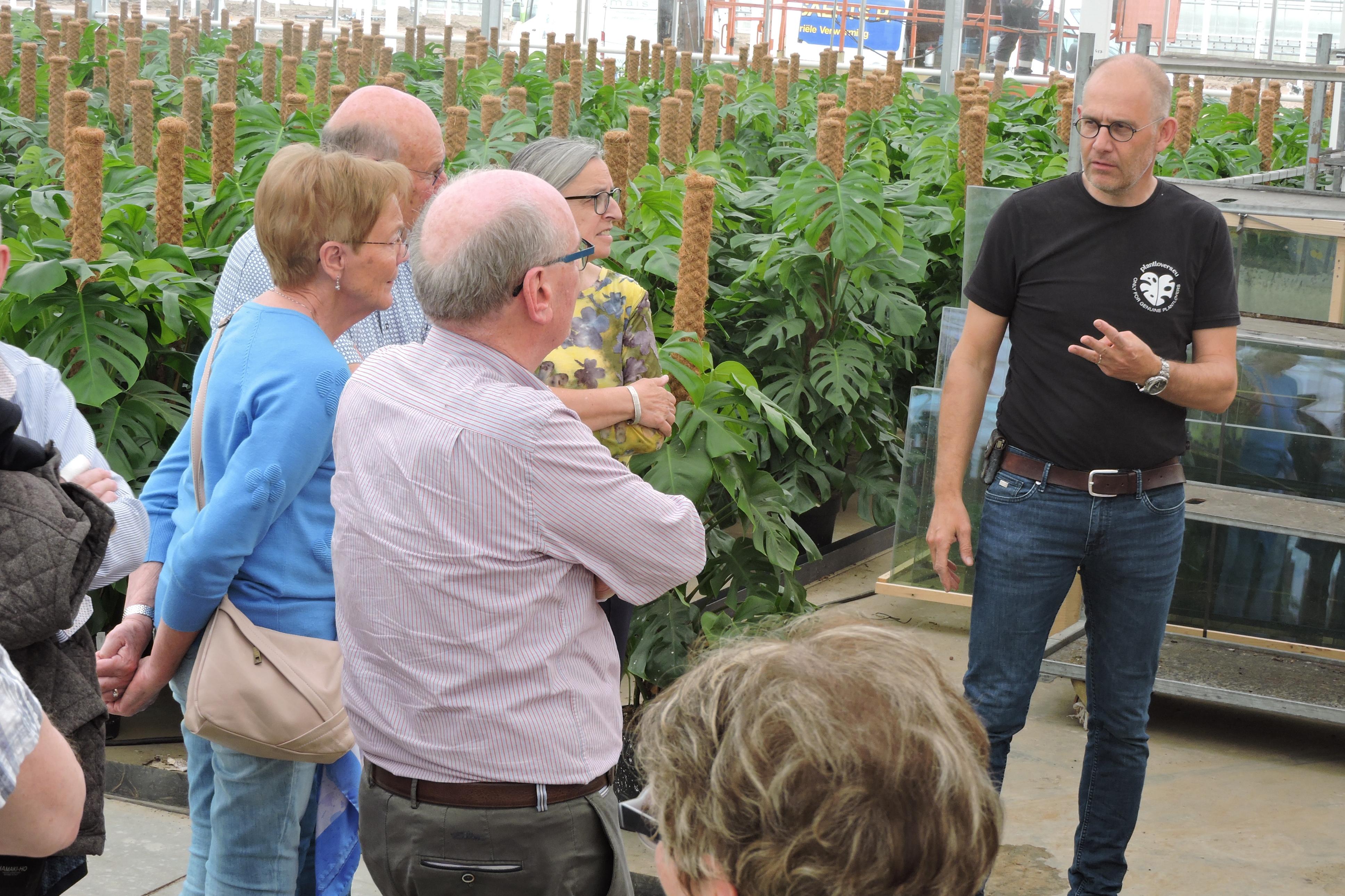 Bezoek aan rozenbedrijf Scheers en potplantenbedrijf Mermans